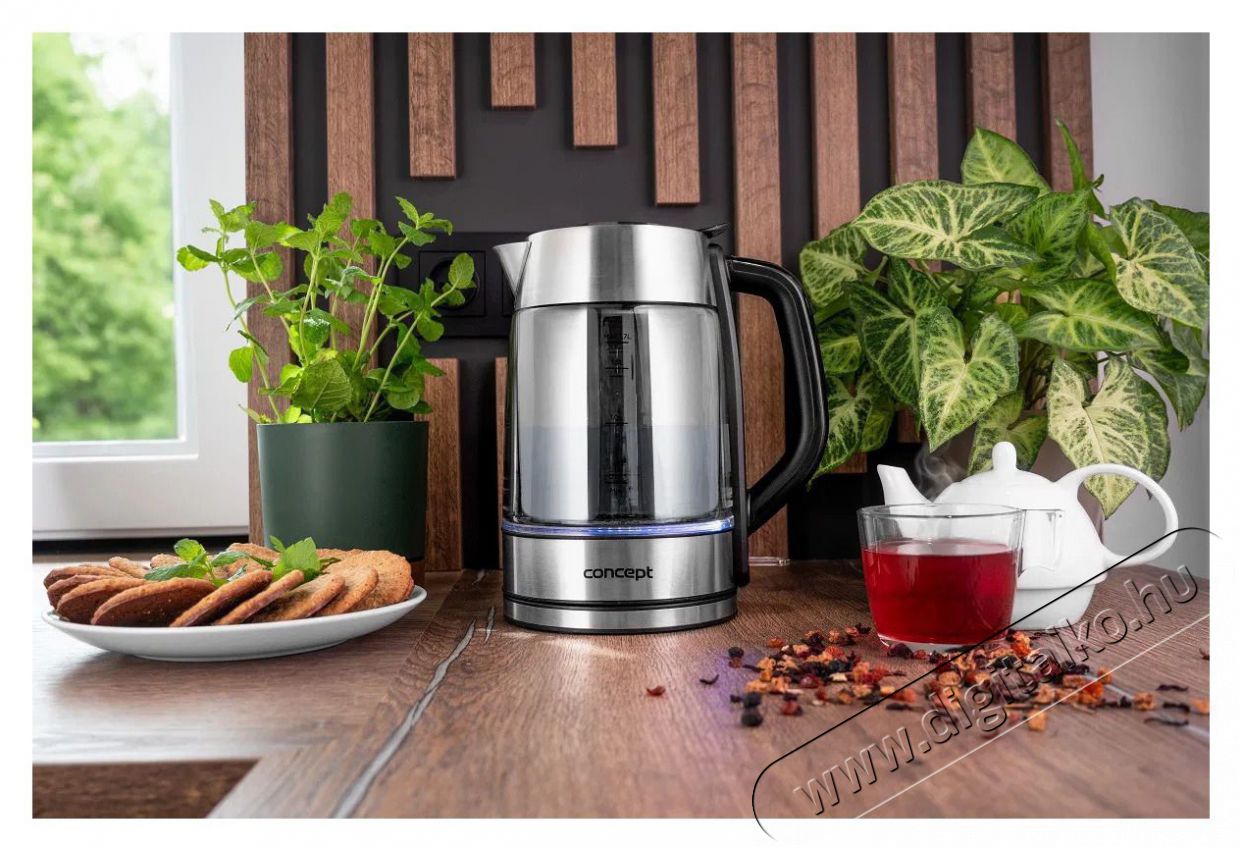 Concept RK4095 Konyhai term&eacute;kek - V&iacute;zforral&oacute; / teafőző - 513019