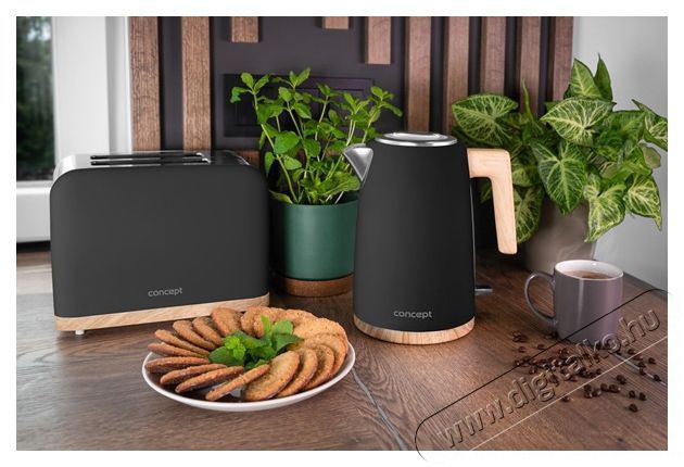 Concept TE2016 ELWOOD Konyhai term&eacute;kek - Konyhai kisg&eacute;p (s&uuml;t&eacute;s / főz&eacute;s / hűt&eacute;s / &eacute;telk&eacute;sz&iacute;t&eacute;s) - Keny&eacute;rpir&iacute;t&oacute; - 523324