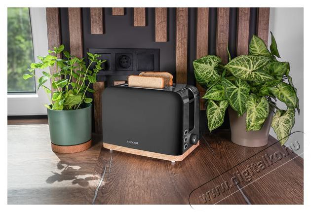 Concept TE2016 ELWOOD Konyhai term&eacute;kek - Konyhai kisg&eacute;p (s&uuml;t&eacute;s / főz&eacute;s / hűt&eacute;s / &eacute;telk&eacute;sz&iacute;t&eacute;s) - Keny&eacute;rpir&iacute;t&oacute; - 523324