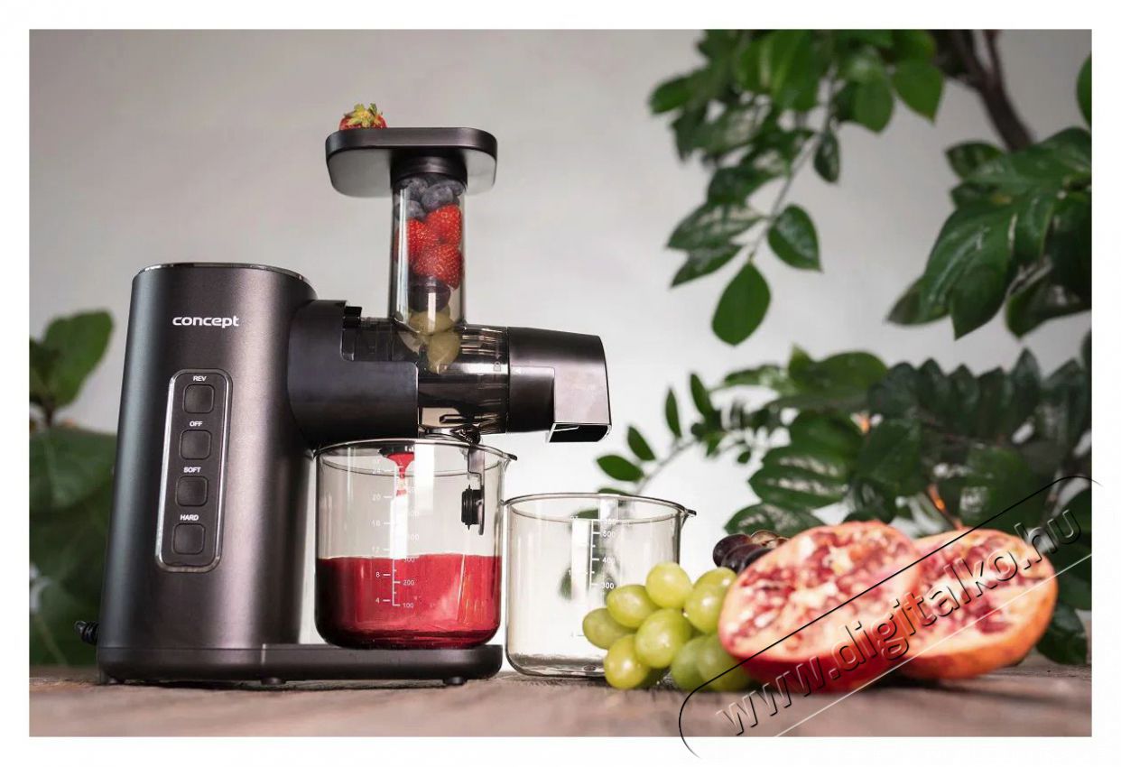 Concept EASY CLEAN LO3000 Konyhai term&eacute;kek - Konyhai kisg&eacute;p (elők&eacute;sz&iacute;t&eacute;s / feldolgoz&aacute;s) - Gy&uuml;m&ouml;lcs centrifuga / pr&eacute;s - 523273