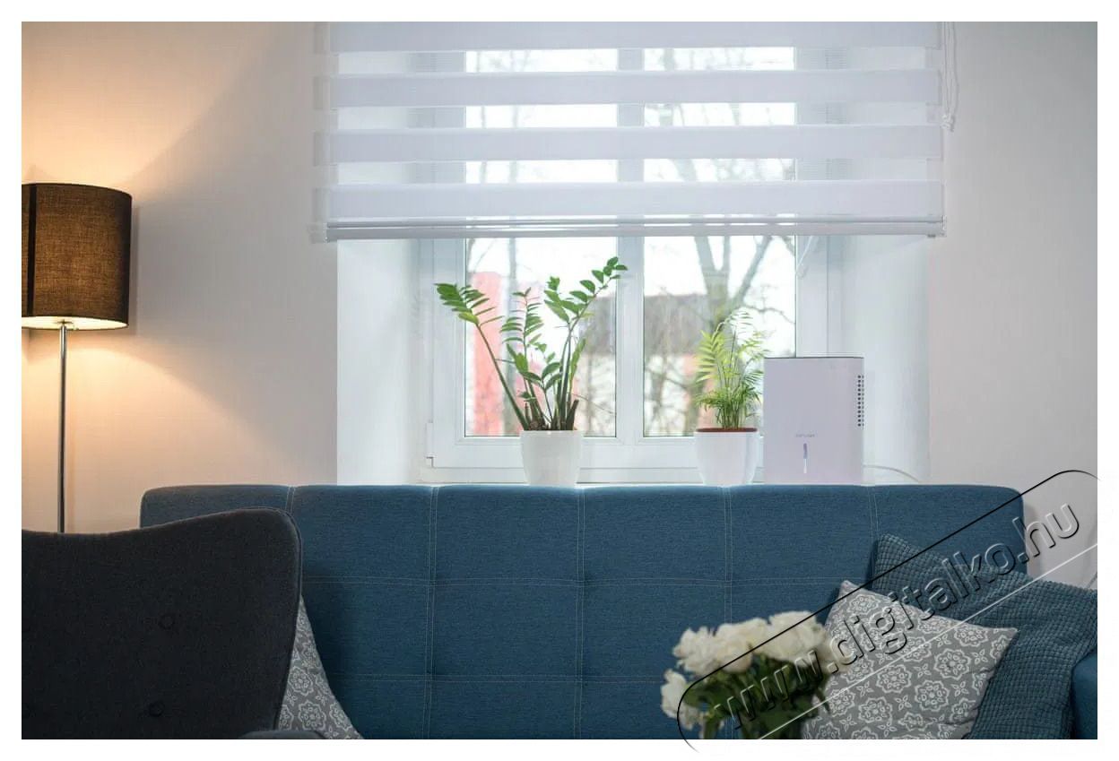 Concept OV1000 Perfect Air Sz&eacute;ps&eacute;g&aacute;pol&aacute;s / Eg&eacute;szs&eacute;g - L&eacute;gtiszt&iacute;t&oacute; / p&aacute;r&aacute;s&iacute;t&oacute; / p&aacute;r&aacute;tlan&iacute;t&oacute; - P&aacute;ramentes&iacute;tő - 523288