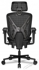 Cougar Speeder Iroda &eacute;s sz&aacute;m&iacute;t&aacute;stechnika - Egy&eacute;b sz&aacute;m&iacute;t&aacute;stechnikai term&eacute;k - 518297