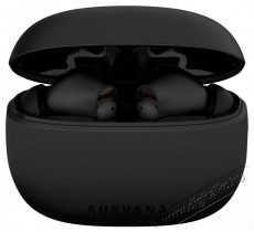 CREATIVE Aurvana Ace ANC fekete Audio-Video / Hifi / Multimédia - Fül és Fejhallgatók - Fülhallgató - 518650
