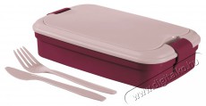 Curver LUNCH & GO Box uzsonnás doboz, lila Konyhai termékek - Edény - Ételtároló - 529363