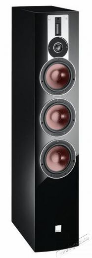 Dali RUBICON 8 álló hangsugárzó - fekete Audio-Video / Hifi / Multimédia - Hangfal - Hangfalszett - Álló / front hangfal - 288559