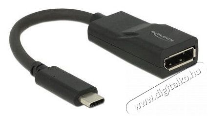 Delock 62748 USB Type-C apa - DisplayPort anya (DP váltakozó mód) 4K adapter Tv kiegészítők - Kábel / csatlakozó - Mini DisplayPort kábel - 387507