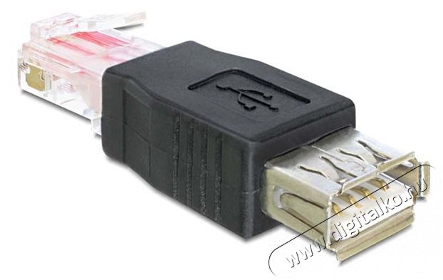 Delock 65234 USB-A anya - RJ45 apa fekete adapter Tv kiegészítők - Kábel / csatlakozó - Csatlakozó / elosztó / átalakító - 387431