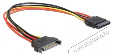 Delock 60131 SATA 15 Pin apa > SATA 15 Pin anya 30 cm hosszabbító tápkábel Iroda és számítástechnika - Számítógép tartozék - SATA kábel - 387777