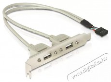 Delock 71000 Slot konzol 1x belső USB 9tűs > 2x USB2.0 külső Iroda és számítástechnika - Számítógép tartozék - USB kábel - 387690