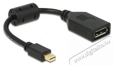 Delock 65554 mini Displayport apa > Displayport anya fekete adapter Iroda és számítástechnika - Egyéb számítástechnikai termék - 387861