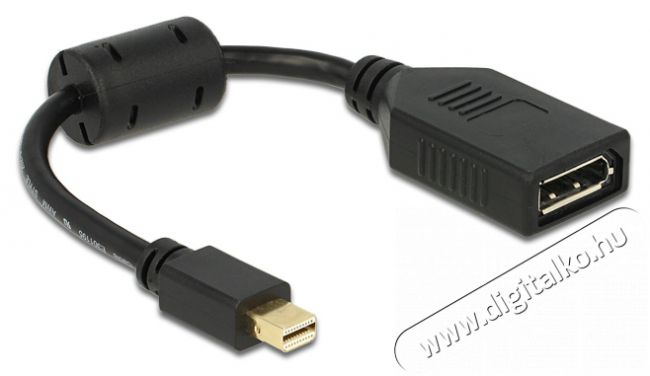 Delock 65554 mini Displayport apa > Displayport anya fekete adapter Iroda és számítástechnika - Egyéb számítástechnikai termék - 387861
