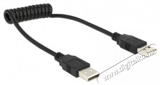 Delock 83239 USB 2.0-A apa / apa tekercselt kábel Iroda és számítástechnika - Egyéb számítástechnikai termék - 387867