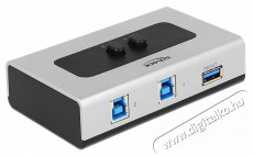 Delock 87667 2 portos manuális kétirányú USB 3.0 kapcsoló Iroda és számítástechnika - Egyéb számítástechnikai termék - 387629