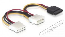 Delock 60103 15 tűs SATA HDD – 2x 4 tűs Molex apa/anya 16,5cm tápkábel Egyéb - Nem forgalmazzuk ! - 387985