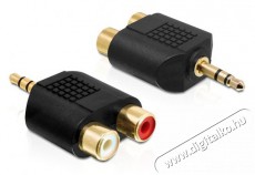 Delock 65365 sztereó jack 3.5 mm 3 pin apa > 2 x RCA (Cinch) anya audio adapter Fotó-Videó kiegészítők - Kábel - Audio-video kábel - 387874