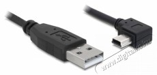 Delock USB 2.0-A apa - USB mini-B 5 tűs könyök apa átalakító kábel, 3m Iroda és számítástechnika - Egyéb számítástechnikai termék - 387930