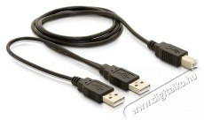 Delock USB adat- és hálózati kábel - Iroda és számítástechnika - Egyéb számítástechnikai termék - 387934