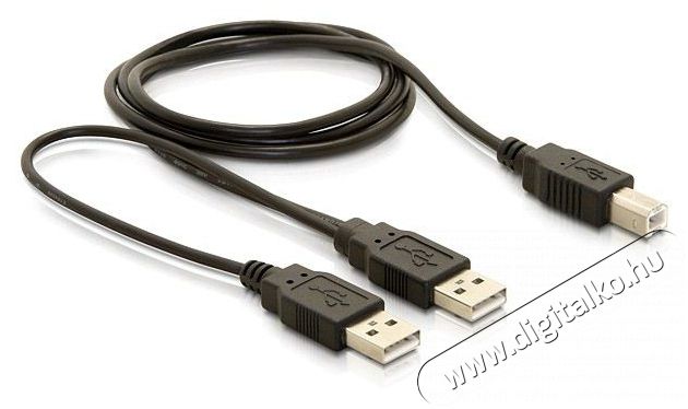 Delock USB adat- és hálózati kábel Iroda és számítástechnika - Egyéb számítástechnikai termék - 387934