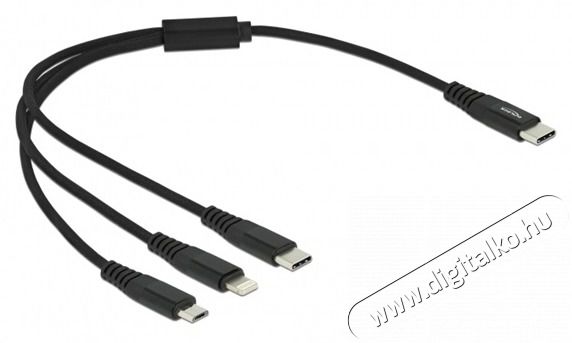 Delock 87148 30cm 3 az 1-ben USB-C - Lightning/MicroUSB/USB-C töltő kábel Tv kiegészítők - Kábel / csatlakozó - USB kábel - 408129