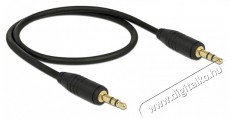 Delock 83742 sztereó jack kábel 3,5mm 3 pin apa > apa 0,5m fekete kábel Tv kiegészítők - Kábel / csatlakozó - 3,5mm Jack kábel - 437786