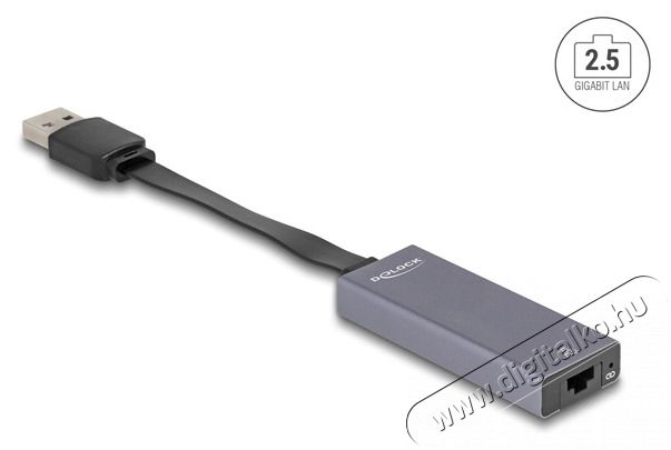 Delock 66247 USB A - 2,5 Gigabit LAN adapter Iroda és számítástechnika - Számítógép tartozék - Hálózati kábel - 476868