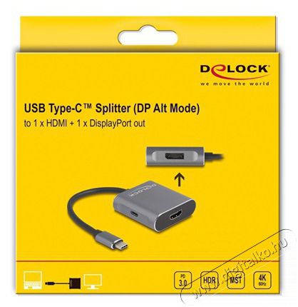 Delock 85296 2025