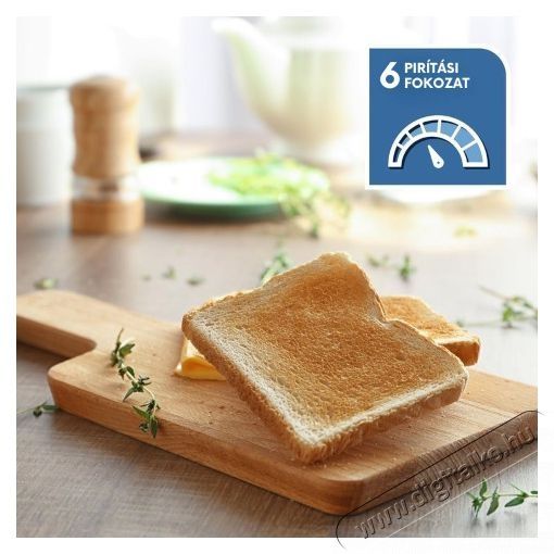 Delonghi CTOV 2103 GR Konyhai term&eacute;kek - Konyhai kisg&eacute;p (s&uuml;t&eacute;s / főz&eacute;s / hűt&eacute;s / &eacute;telk&eacute;sz&iacute;t&eacute;s) - Keny&eacute;rpir&iacute;t&oacute; - 504727