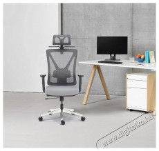 DELSO Kolinn, sz&uuml;rke irodasz&eacute;k Iroda &eacute;s sz&aacute;m&iacute;t&aacute;stechnika - Egy&eacute;b sz&aacute;m&iacute;t&aacute;stechnikai term&eacute;k - 523428