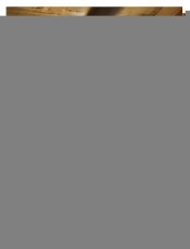 DeWalt DWE315KT-QS Multi rezgőszersz&aacute;m H&aacute;ztart&aacute;s / Otthon / K&uuml;lt&eacute;r - Szersz&aacute;m - Multifunkci&oacute;s g&eacute;p - 533274