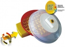 DigiSale IO-104 automata elektromos csirkekeltető Háztartás / Otthon / Kültér - Egyéb háztartási termék - 304367