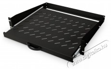 DIGITUS DN-19 TRAY-2-SW 19 2U 450mm mély fekete fix polc Iroda és számítástechnika - Hálózat - Hálózati kiegészítő - 393145