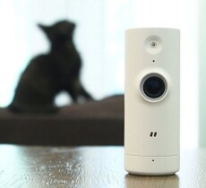 D-Link Mini HD Wi-Fi Camera Újdonságok - Új termékek - 334788