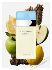 DOLCE & GABBANA Light Blue EdT 100 ml Eau de Toilette Szépségápolás / Egészség - Egyéb szépség / egészség termék - 500693