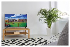 ECG H06T2S2, 81 cm, HD Televízió Televíziók - LED televízió - 1080p Full HD felbontású - 399384