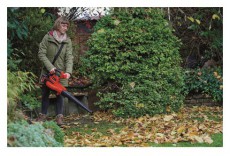 Einhell GE-CL 36/230 lombszívó Háztartás / Otthon / Kültér - Kültér / kerti termék / grill - Lombszívó és fúvó - 474278