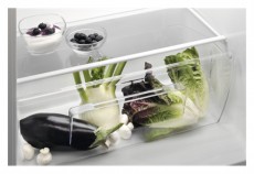 Electrolux LRB1AF23W Hűtőszekrény Konyhai termékek - Hűtő, fagyasztó (szabadonálló) - Egyajtós hűtő - 370391