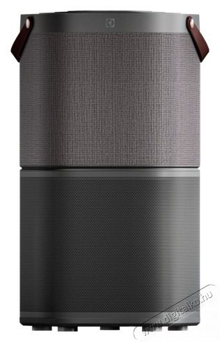 Electrolux PA91-404DG l&eacute;gtiszt&iacute;t&oacute; Sz&eacute;ps&eacute;g&aacute;pol&aacute;s / Eg&eacute;szs&eacute;g - L&eacute;gtiszt&iacute;t&oacute; / p&aacute;r&aacute;s&iacute;t&oacute; / p&aacute;r&aacute;tlan&iacute;t&oacute; - L&eacute;gtiszt&iacute;t&oacute; - 383542