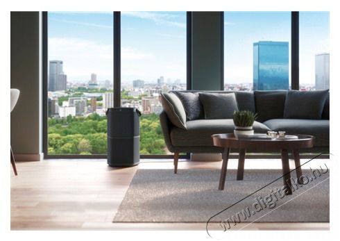 Electrolux PA91-404DG l&eacute;gtiszt&iacute;t&oacute; Sz&eacute;ps&eacute;g&aacute;pol&aacute;s / Eg&eacute;szs&eacute;g - L&eacute;gtiszt&iacute;t&oacute; / p&aacute;r&aacute;s&iacute;t&oacute; / p&aacute;r&aacute;tlan&iacute;t&oacute; - L&eacute;gtiszt&iacute;t&oacute; - 383542