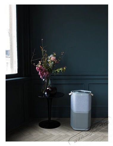 Electrolux PA91-404GY L&Eacute;GTISZT&Iacute;T&Oacute; Sz&eacute;ps&eacute;g&aacute;pol&aacute;s / Eg&eacute;szs&eacute;g - L&eacute;gtiszt&iacute;t&oacute; / p&aacute;r&aacute;s&iacute;t&oacute; / p&aacute;r&aacute;tlan&iacute;t&oacute; - L&eacute;gtiszt&iacute;t&oacute; - 383527