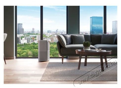 Electrolux PA91-604GY l&eacute;gtiszt&iacute;t&oacute; Sz&eacute;ps&eacute;g&aacute;pol&aacute;s / Eg&eacute;szs&eacute;g - L&eacute;gtiszt&iacute;t&oacute; / p&aacute;r&aacute;s&iacute;t&oacute; / p&aacute;r&aacute;tlan&iacute;t&oacute; - L&eacute;gtiszt&iacute;t&oacute; - 383528