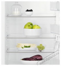 Electrolux LFB3AF12S Beépíthető egyajtós hűtőszekrény Konyhai termékek - Hűtő, fagyasztó (beépíthető) - Egyajtós hűtő - 399338