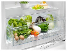 Electrolux LRB1DF32W egyajtós hűtőszekrény Konyhai termékek - Hűtő, fagyasztó (szabadonálló) - Egyajtós hűtő - 399334