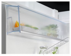 Electrolux LRB1DF32W egyajtós hűtőszekrény Konyhai termékek - Hűtő, fagyasztó (szabadonálló) - Egyajtós hűtő - 399334