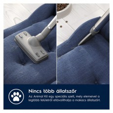 Electrolux EB61A5UG Animal 600 Porzsákos porszívó Háztartás / Otthon / Kültér - Porszívó / takarítógép - Porzsákos porszívó - 500957