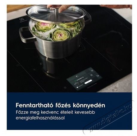 Electrolux EIS67483 FŐZŐLAP BE&Eacute;P&Iacute;THETŐ INDUKCI&Oacute;S Konyhai term&eacute;kek - S&uuml;tő-főzőlap, tűzhely (be&eacute;p&iacute;thető) - Indukci&oacute;s főzőlap (be&eacute;p&iacute;thető) - 502816