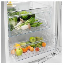 Electrolux 600 DynamicAir LRS2DE39X Konyhai termékek - Hűtő, fagyasztó (szabadonálló) - Fagyasztó nélküli hűtő - 504378