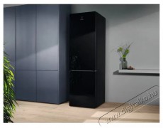 Electrolux 800 Cooling 360 LNT7ME36K2 Konyhai termékek - Hűtő, fagyasztó (szabadonálló) - Alulfagyasztós kombinált hűtő - 504382