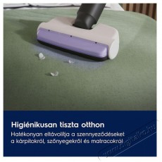 Electrolux 800 EP83HB25UV Háztartás / Otthon / Kültér - Porszívó / takarítógép - Kézi / álló porszívó - 503501