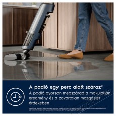 Electrolux 800 EW81U3DB Wet and Dry Háztartás / Otthon / Kültér - Porszívó / takarítógép - Kézi / álló porszívó - 503499
