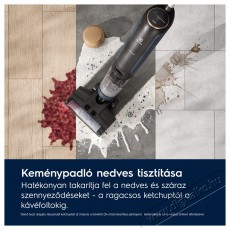Electrolux 800 EW81U3DB Wet and Dry Háztartás / Otthon / Kültér - Porszívó / takarítógép - Kézi / álló porszívó - 503499
